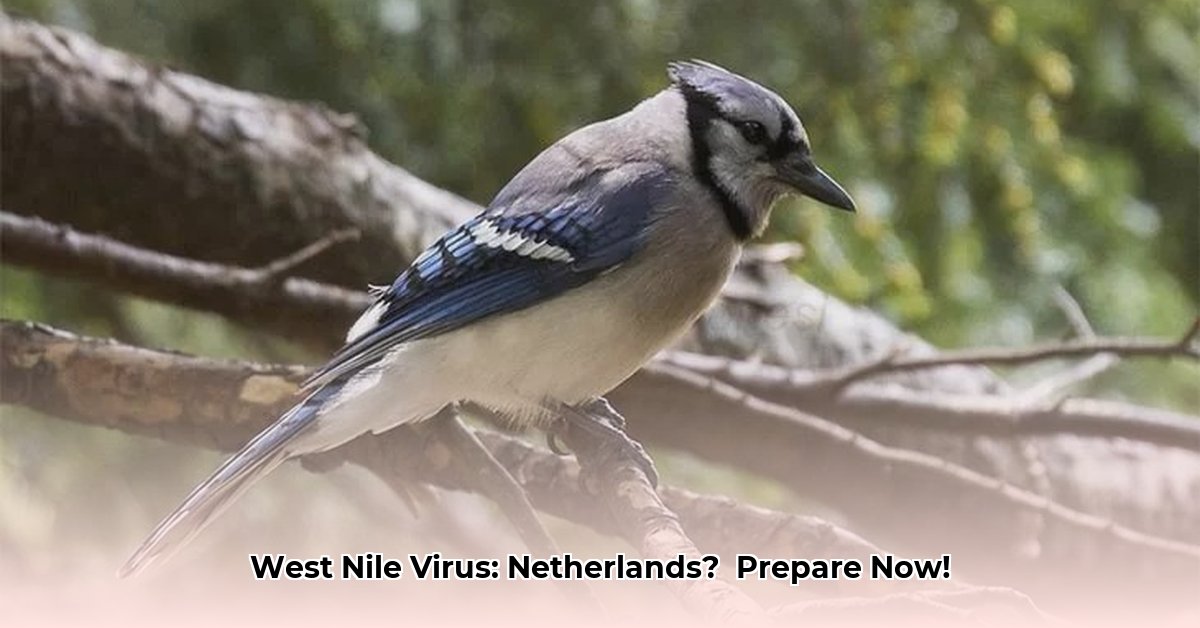 west-nile-virus-netherlands